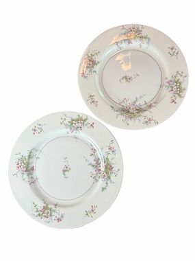 VTG Theodore Haviland NY Apple Blossom 10 1/8” Gold Rimmed Dinner Plates Set 2